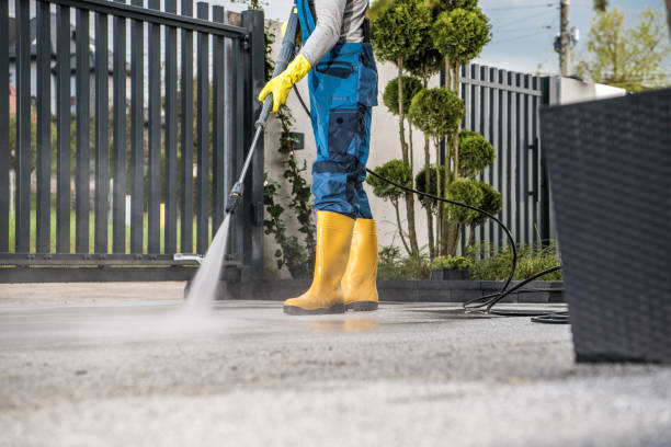 Animal Enclosure Cleaning in Brass Castle, NJ